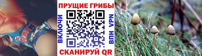 ОМГ ОМГ онион  как найти закладки  Верхняя Пышма  нарко площадка какой сайт  Галлюциногенные грибы мицелий 